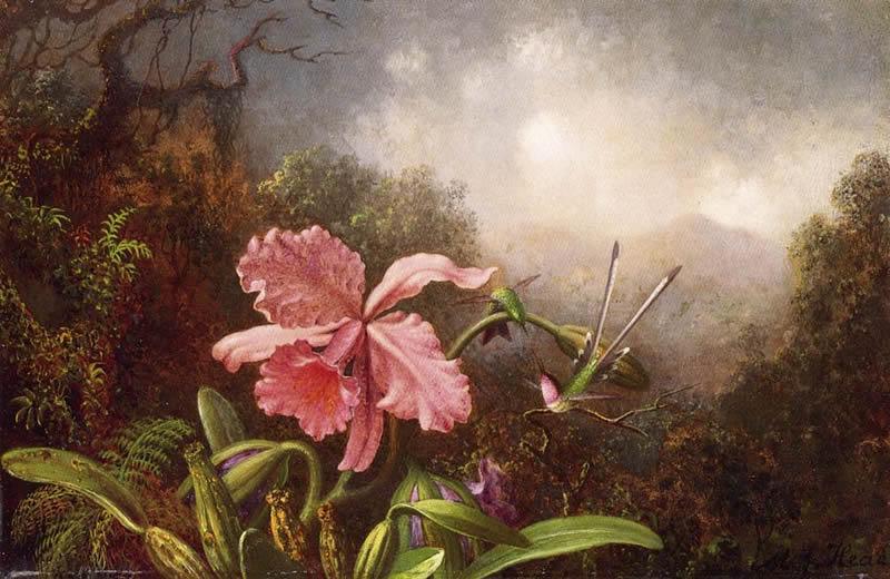 Martin Johnson Heade Two Hummingbirds by an Orchid